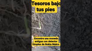 Encontre Moneda Antigua Con Detector Simplex De Nokta Makro