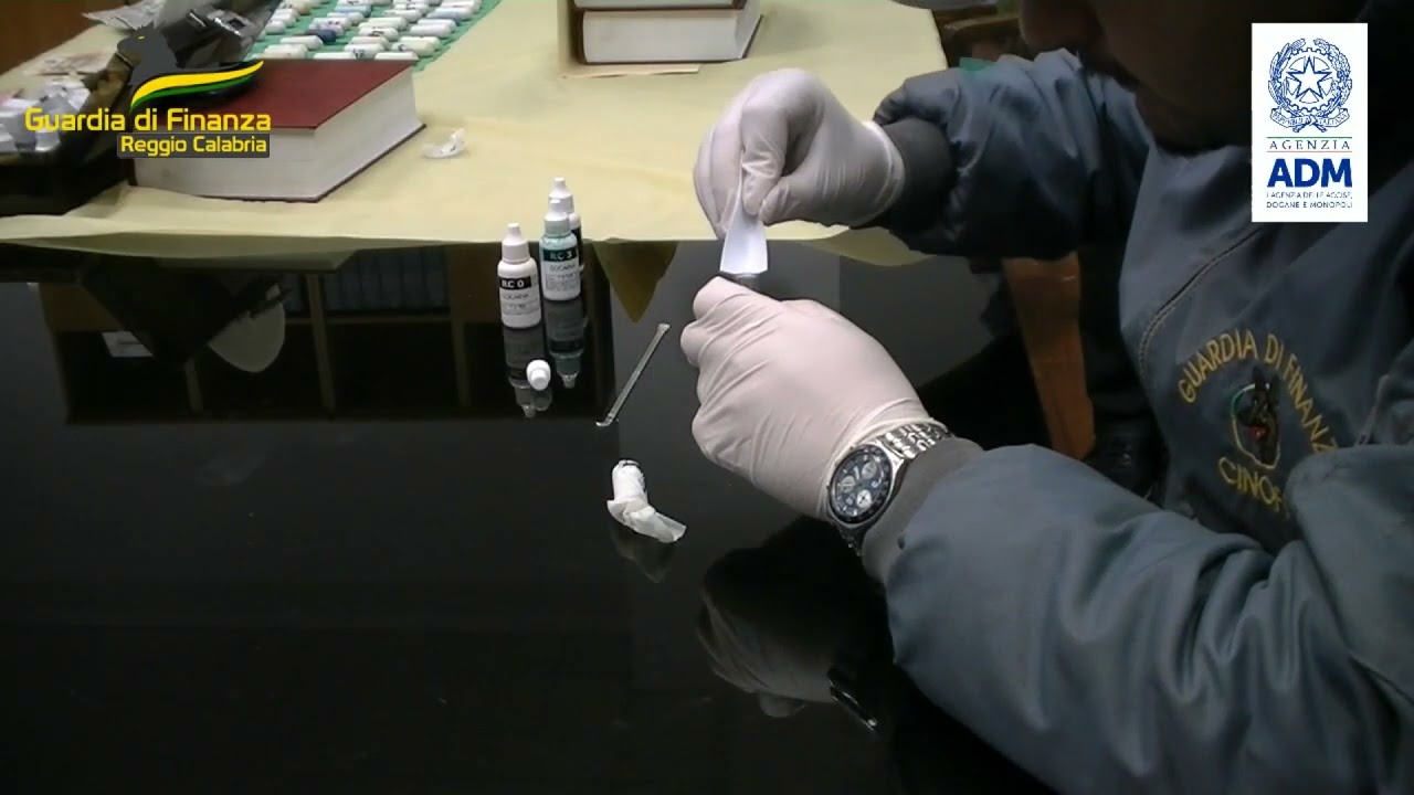 Gioa Tauro. Sequestrati oltre 650 kg di cocaina purissima - VIDEO