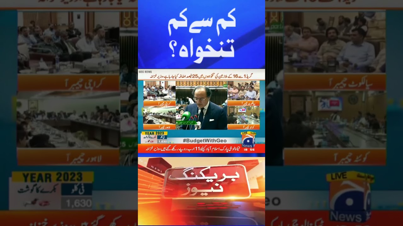 Minimum Salary in Pakistan | Budget 2024-25