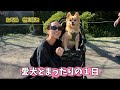 バス乗れなかったから愛犬と地元で1日まったりしてきた