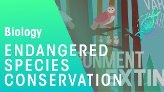 Endangered Species | Environment & Ecology | Biology | FuseSchool