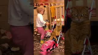 The end  #videos #fyp #laugh #cutebaby #babylaugh #babyvideo #foryou #fypシ #fun #baby #funny ???