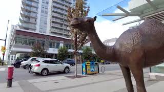 AUTUMN Walk in North Vancouver Canada - Strolling Lonsdale Ave to Waterfront