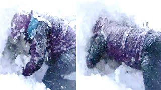 This Satellite Has Revealed To Scientists That Something Massive Is Hiding Underneath Antarctica