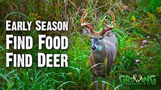 How to Find Big Bucks Early Season - Food Sources are Key