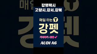 강펫택시 고양지점 프리미엄 세단 아우디 A6 입니다.일산차고지이고, 언제든지 동물사랑. 달려가는 행동형 안전기사입니다. #강펫택시 #펫택시 #제주펫택시 #여수펫택시 #일산펫택시