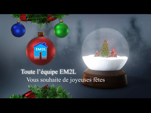 ✨Joyeux Noël 2022✨