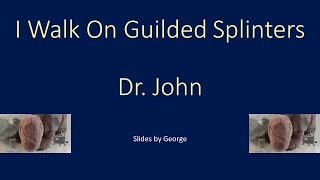 Dr John   I Walk On Guilded (or Gilded or Gildet) Splinters  karaoke
