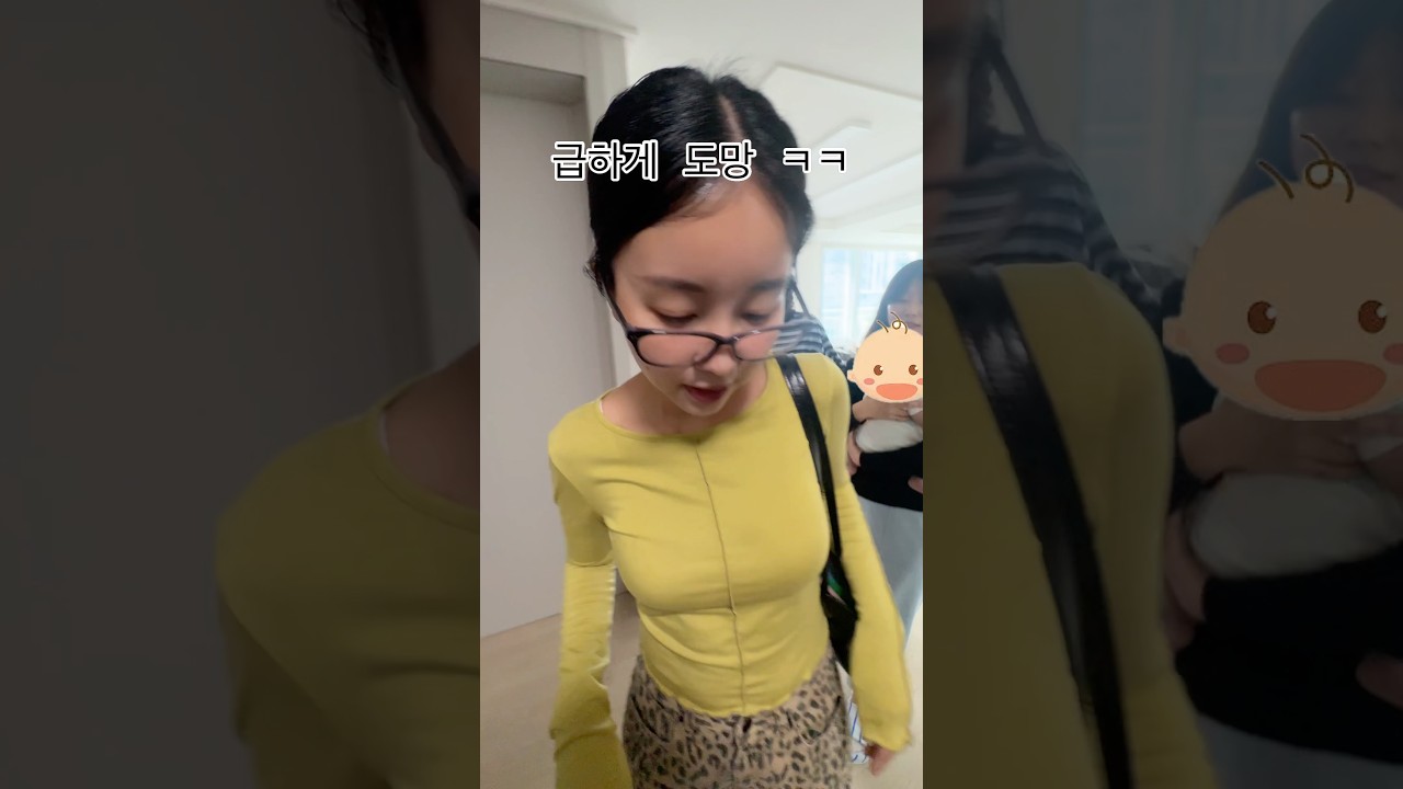 종이서방부부한테 설계당한 치와와 ㅋㅋ