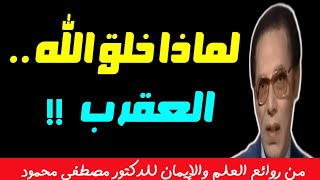 لماذا خلق الله العقرب ❗️من روائع الدكتور مصطفى محمود