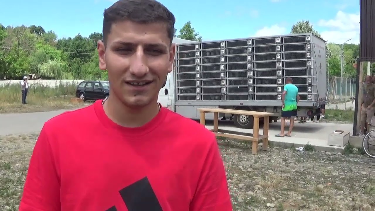 Interviu columbofil dl Neagu Florin Gura Vitioarei Prahova Romania 10 iulie 2025