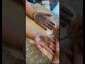 May your love finds you😍#mehndidesign #mehndi #song #art #artwork #shortvideo #viralvideo #trending