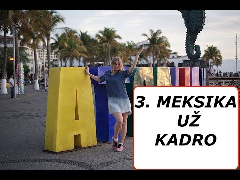 Video: Vaizdo įraše Parodytas Meksikos Miesto Katedros Dalių Griūtis