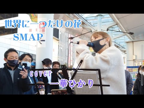 世界に一つだけの花 / SMAP 【 cover / 一華ひかり 】※概要欄も見てください。