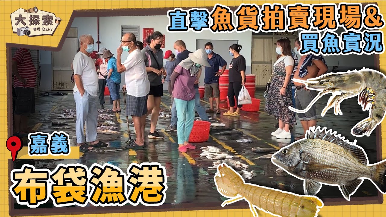 【漁港走透透 Fishing Harbor Tales】#60 嘉義布袋漁港及買魚實況 ｜Fishing Port & Seafood ｜EP_154