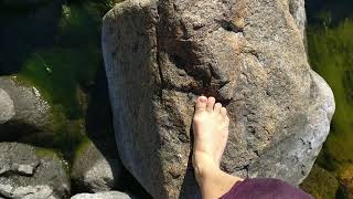 My day in Tallholmen