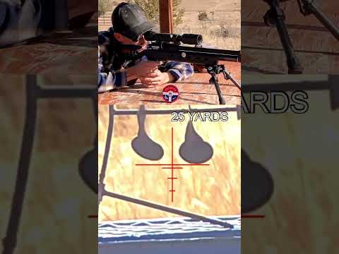 SUPER #satisfying PLINKING with ARMADA SEMI-AUTO #shooting