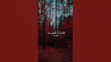 سورة المائدة||سعود الشريم 🥀🖤