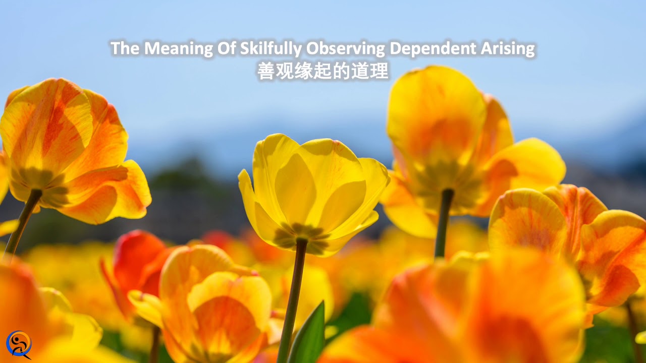 Hope·Embark 《希望.新生》200517 The Meaning Of Skillfully Observing Dependent ...