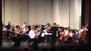 20140807 Orchestra