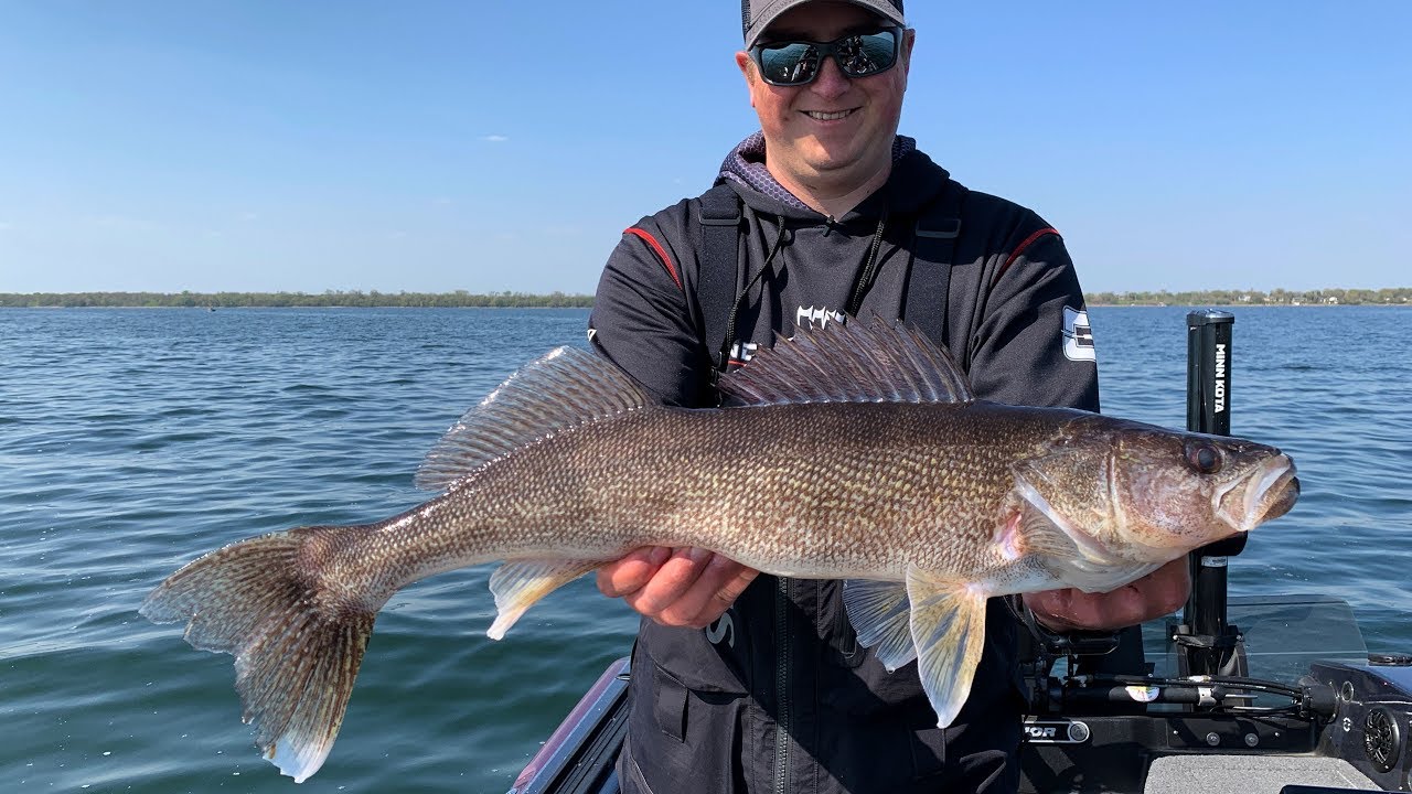 Tips and tactics for walleye opener, Mille Lacs Messenger