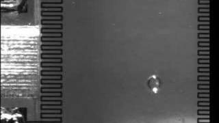 thermocapillary 2