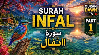 Surah Al-Anfal | Part 1 | Ayat 1–43 | Beautiful Quran Recitation | Quran Dawn TV