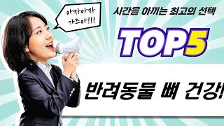 앵무새, 강아지, 파충류 뼈 건강! 칼슘 보충제 총정리