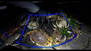 Red Rock and Dungeness Crabbing Newport, Oregon | First Time Using New Promar Hoop Net