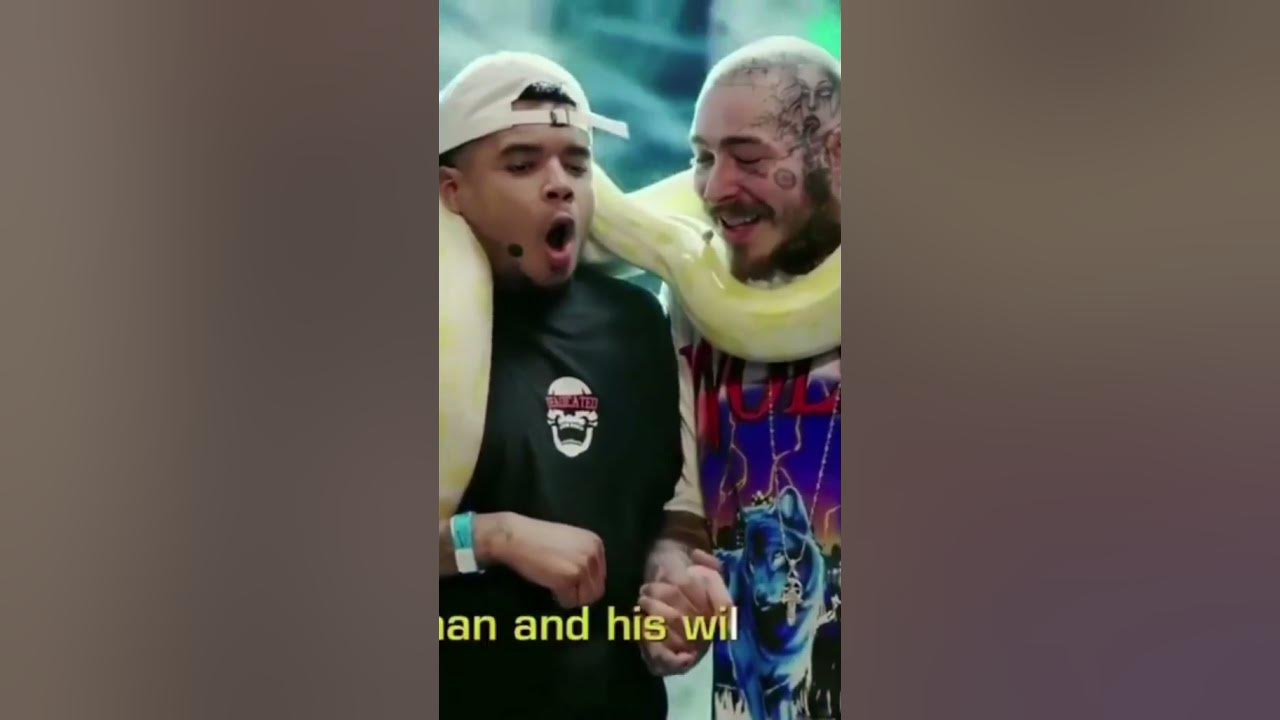 Post Malone Shock Big Snake haha 😂🐍 ON SHOW