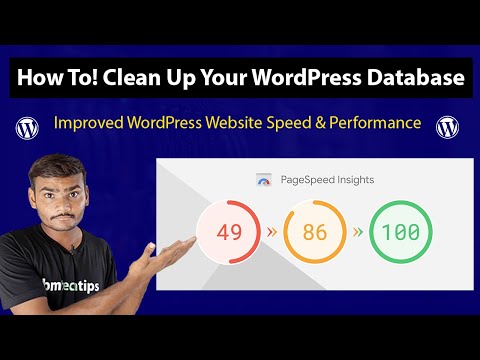 How to Clean Up Your WordPress Database for Improved Site Performance 🚀