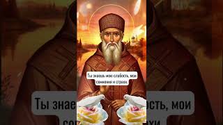 Спиридон Тримифунтский (Саламинский) — христианский святой