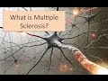 What is Multiple Sclerosis (MS)?