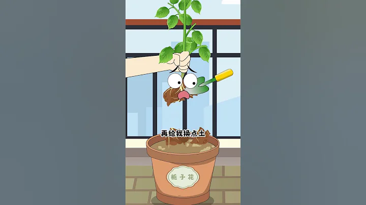 注意：栀子花黄叶竟是因为它 - 天天要闻
