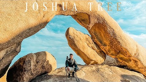 Joshua Tree Vlog 2022 All the BEST things to do