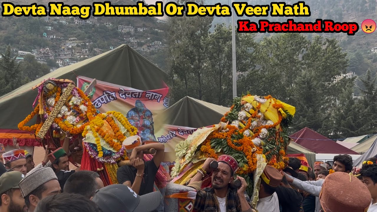 KULLU DUSSEHRA|| देवता धुंबल नाग देवता वीर नाथ और सभी देवी देवताओं का प्रचंड रूप 😡कुल्लू दुशहरा में