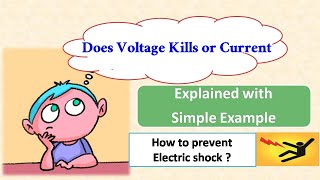 Does voltage kills or Current ||Explained with Simple Example || Electrical Spot