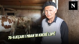 75-vjeçari nga fshati i Lipjanit e punon ende bahçen dhe i mban 10 krerë lopë