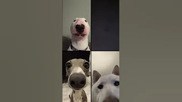 ١ يوليو ٢٠٢٥ 