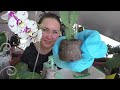 Можно ли обрабатывать цветущие орхидеи???