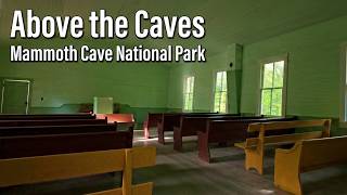 Above the Caves of Mammoth Cave National Park - 60 Second Hikes