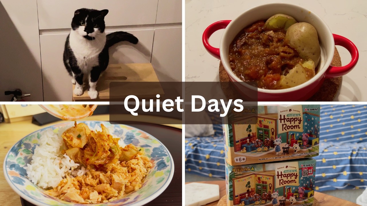 Quiet Days Vlog #2 | Simple NYC Meals, Red Cabbage Okonomiyaki & Aldi Haul