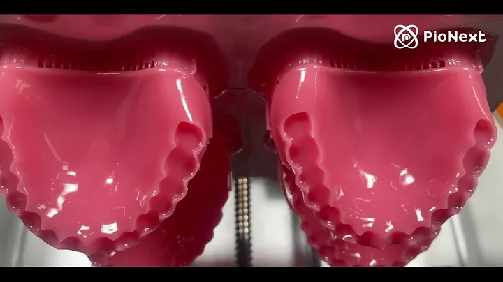 New launch-PioNext denture base resin