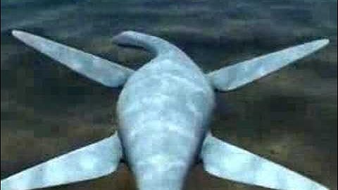 Juvenile Plesiosaur Animation