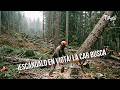 ¡Escándalo en Viotá! La CAR busca responsables por tala ilegal - TvAgro por Juan Gonzalo Angel