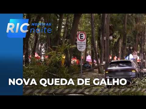 After another branch falls, Curitiba city hall to remove trees from Praça Osório in the city center