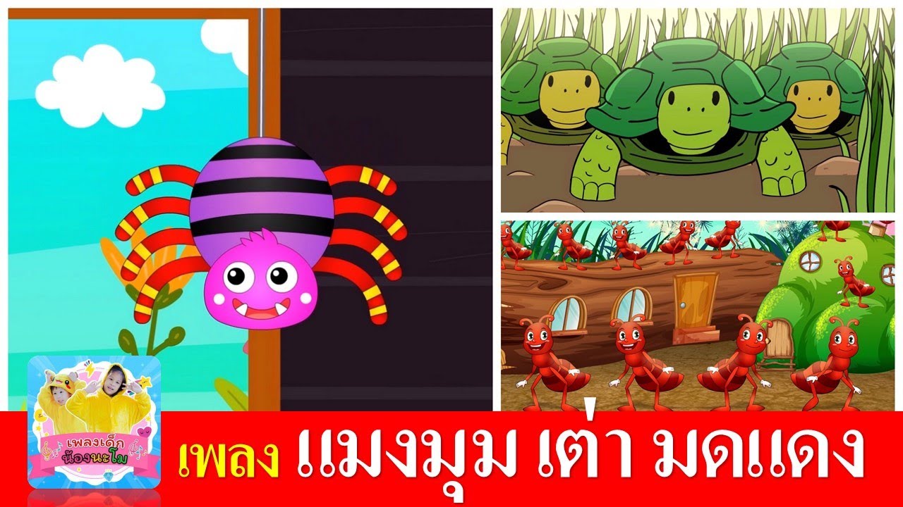 เพลงเด็กอนุบาล แมงมุม เต่า มดแดง | แมงมุมลายตัวนั้น | เต่าเอ๋ยเต่า | มดแดงเกาะแข้งเกาะขา