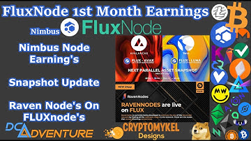 Node Update - 1st Month Nimbus FLUX Node Earnings And FLUX News Update!