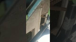 “22 Teeth Freewheel vs 45T Crank 😱 Wheelie Test!”#cycle #wheelie #biketricks #cyclinglife #viral