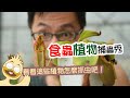蝕問鴨答 食蟲植物捕食秀 Carnivorous Plants Show 蝕問鴨答 食蟲植物捕食秀 Carnivorous Plants Show